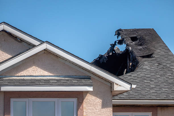 Top rated local Board Up Services specialists in Rockford, MN
